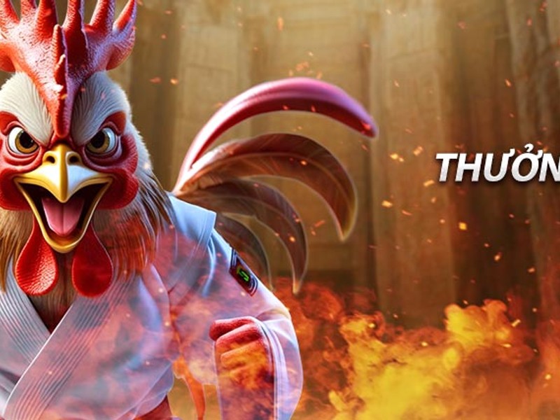 Hỗ trợ đa kênh và phản hồi nhanh chóng từ game bài 68 online