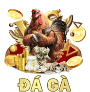 Khuyến mãi hàng ngày