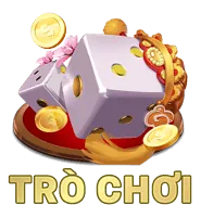 Hướng dẫn cho người mới
